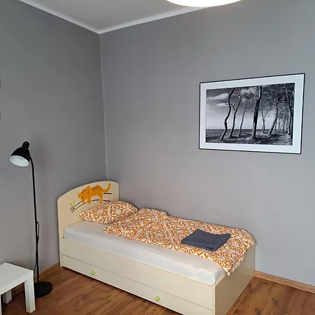 Apartment Comfortable Close To Spodek