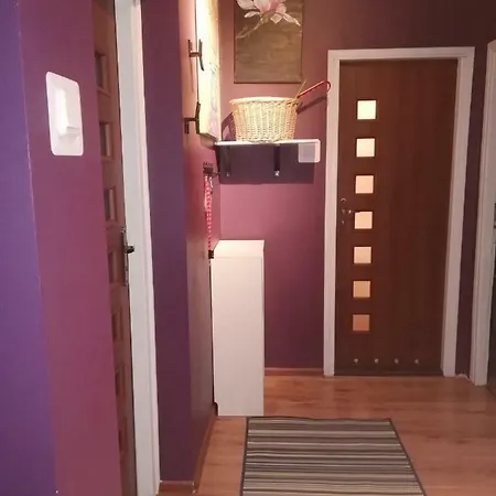 Apartment Comfortable Close To Spodek *