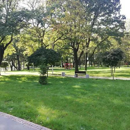 Comfortable Close To Spodek