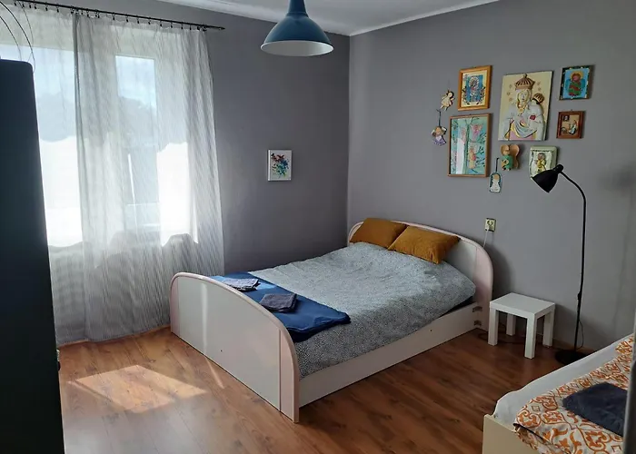 Comfortable Close To Spodek דירה קטוביץ